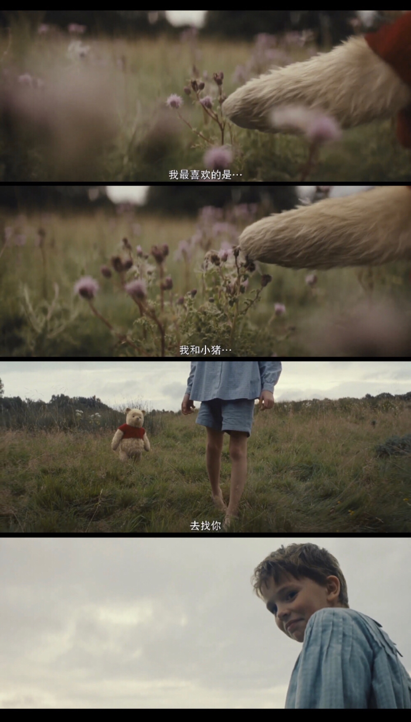 《christopher robin》(克里斯托弗·罗宾)美.2018.