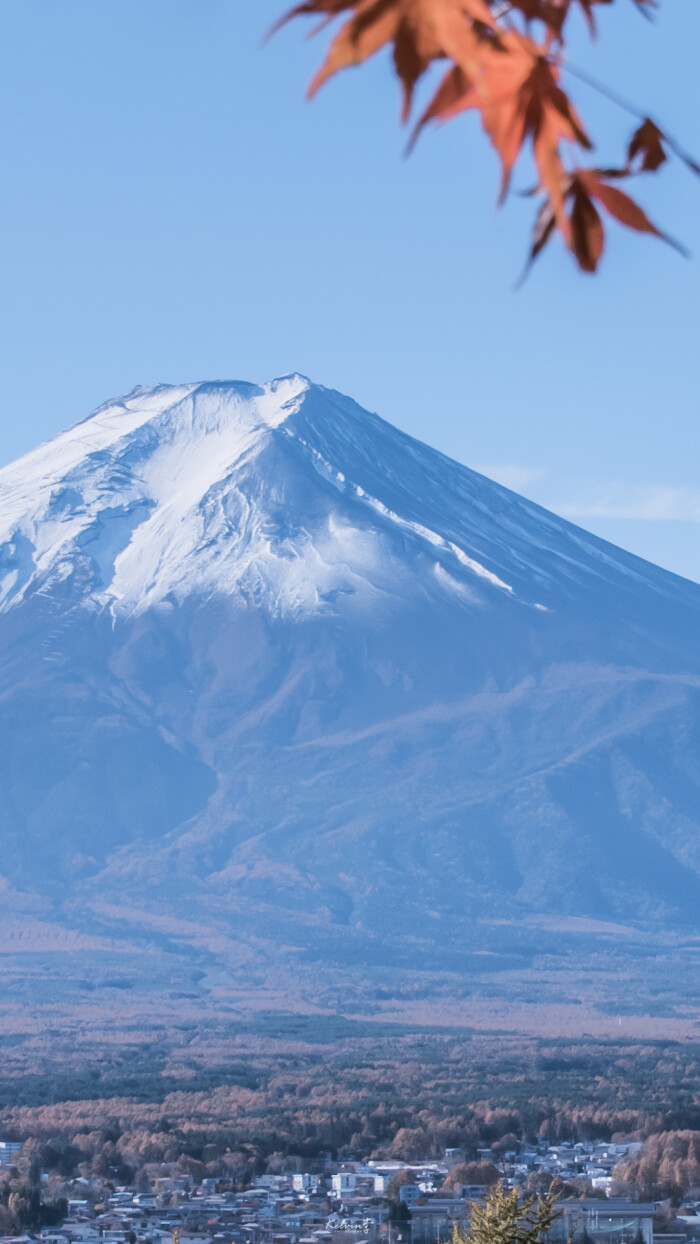 柚子富士山下图片