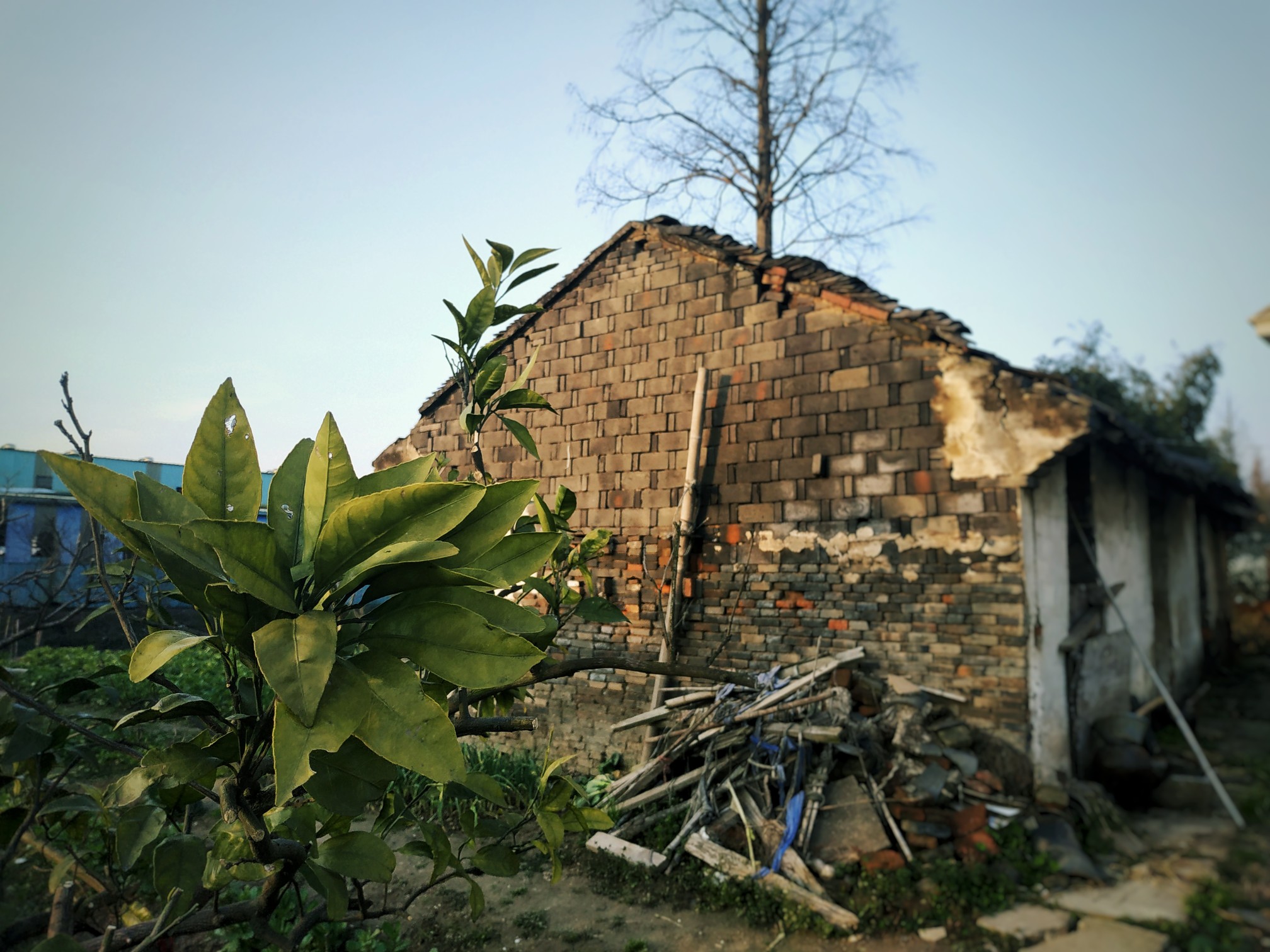 乡下-堆糖,美好生活研究所