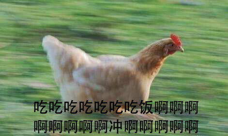 吃饭冲啊表情搞笑鸡表情d路扶我图片包条帮快吃货的住图片
