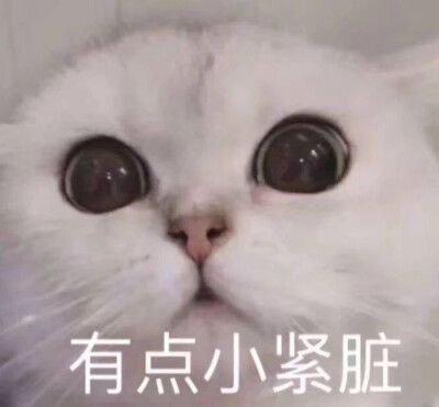 漂亮姐姐