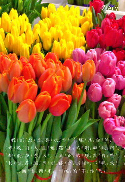 goodnight| 3月1日 竭尽所能