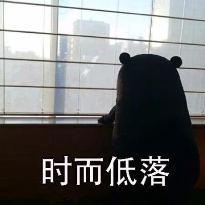 大起大落图片表情包图片