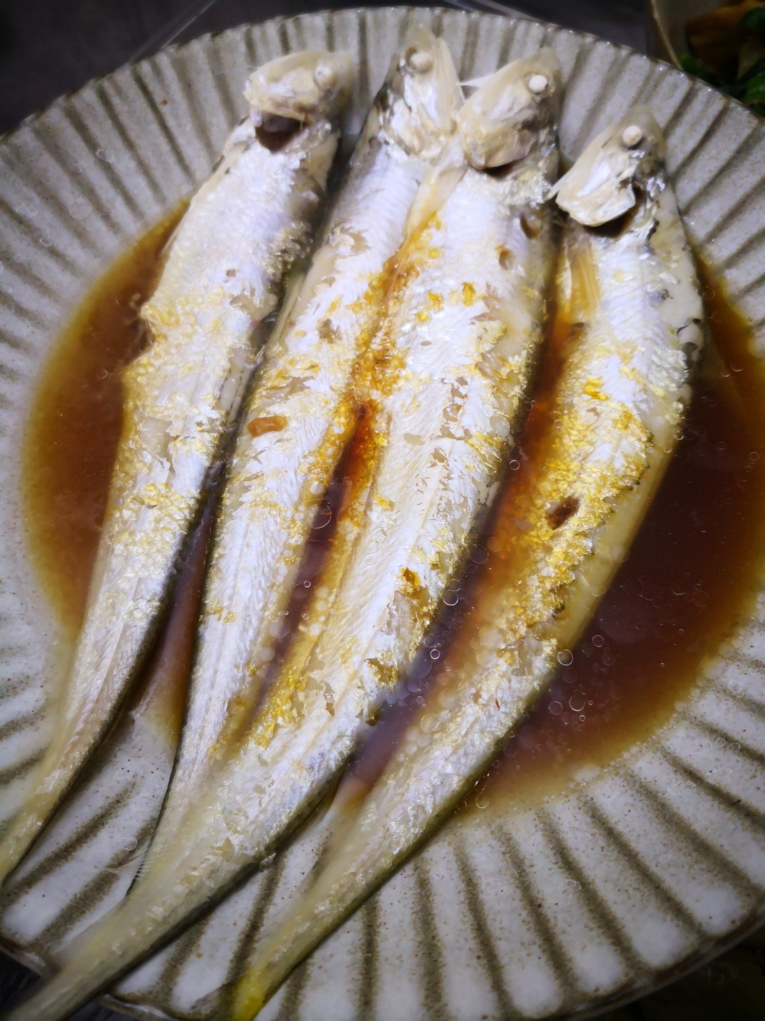 长江刀鱼