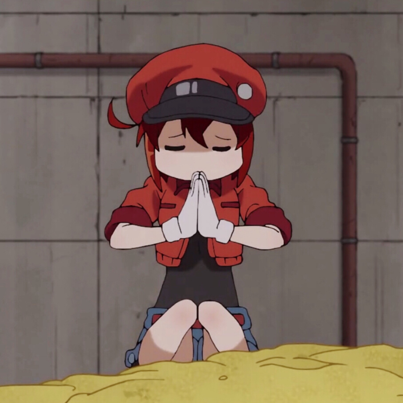 工作细胞系列情头 自截头像 请勿二传二改( )