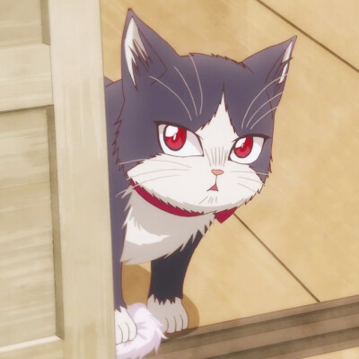 (截图来自:同居人是猫05)