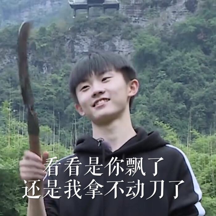 小马哥 