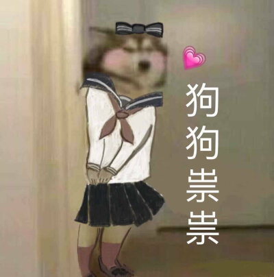 今日份沙雕表情包