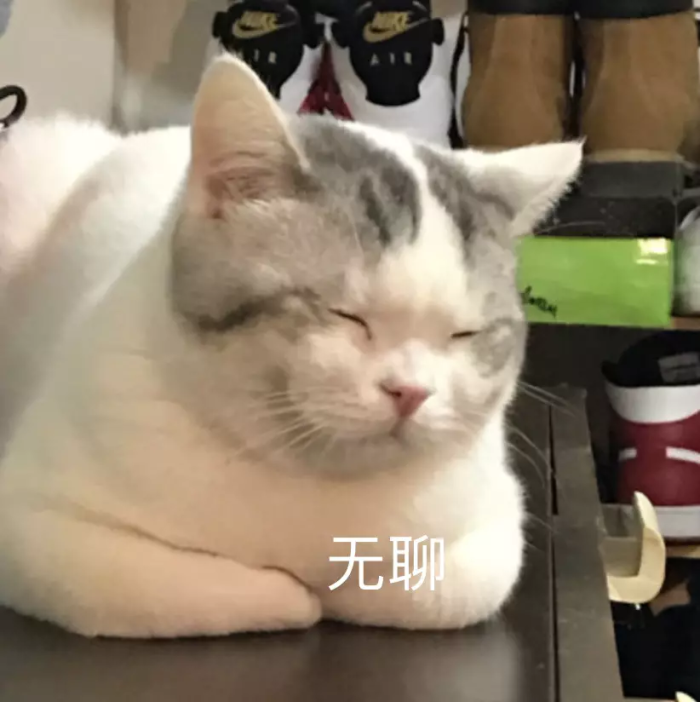 无聊 喵喵喵表情包