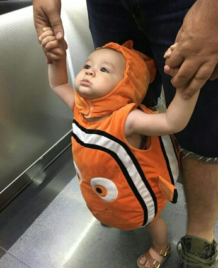 威廉本特利