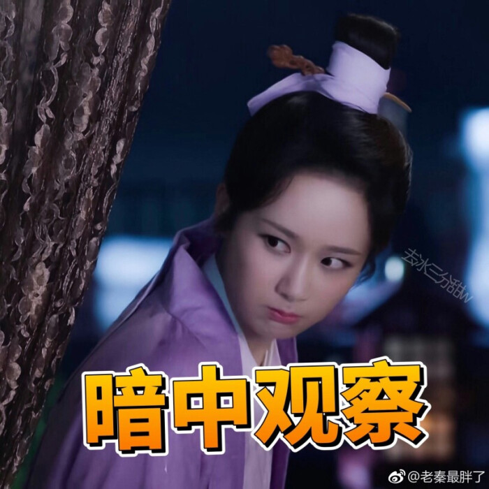 锦觅 表情包