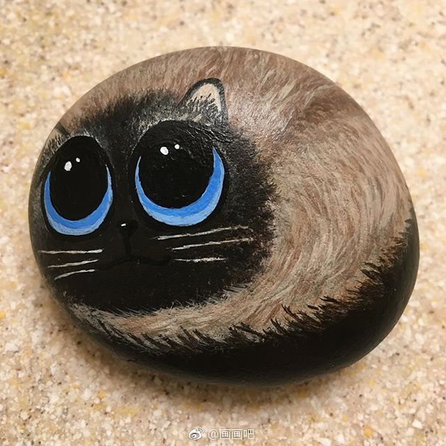 猫咪石头画~ 插画师:donna