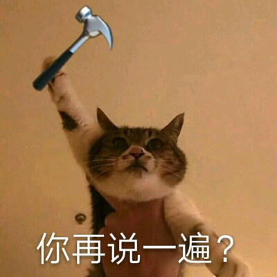 听说你还没有表情包