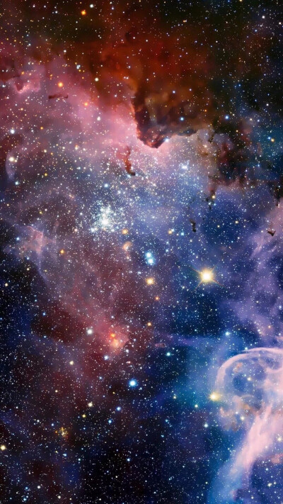 超有质感的流沙金壁纸亮晶晶抖音超火