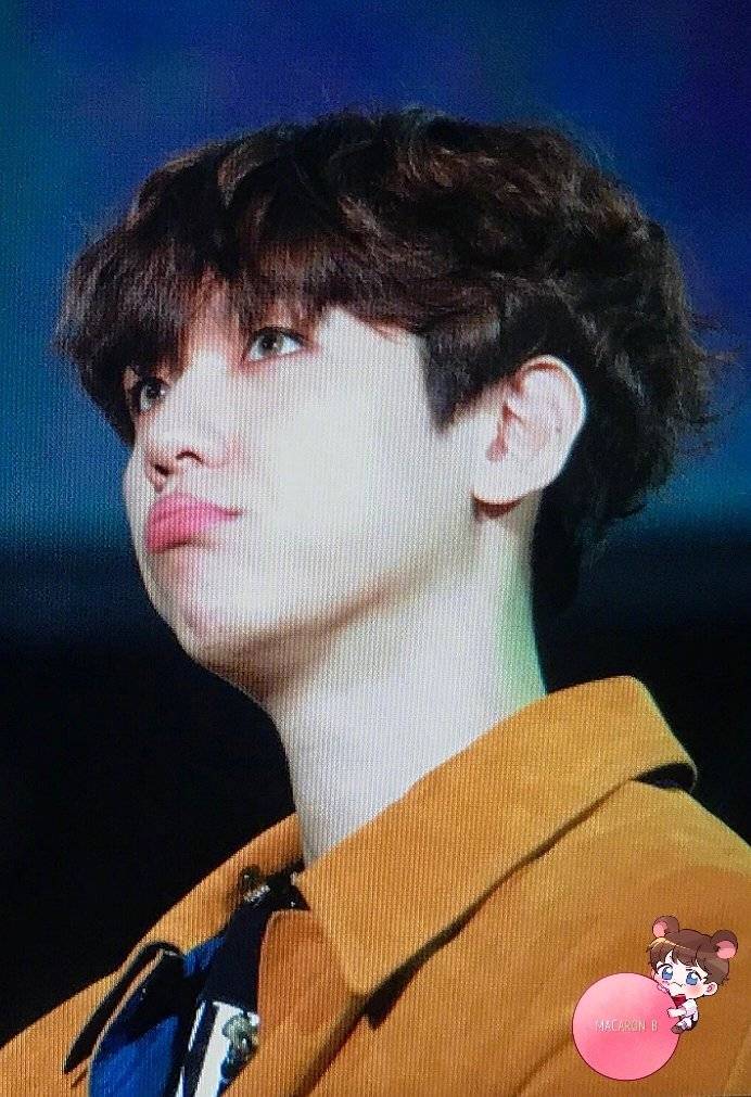 边伯贤【190316 green nature 2019 exo fan festival】