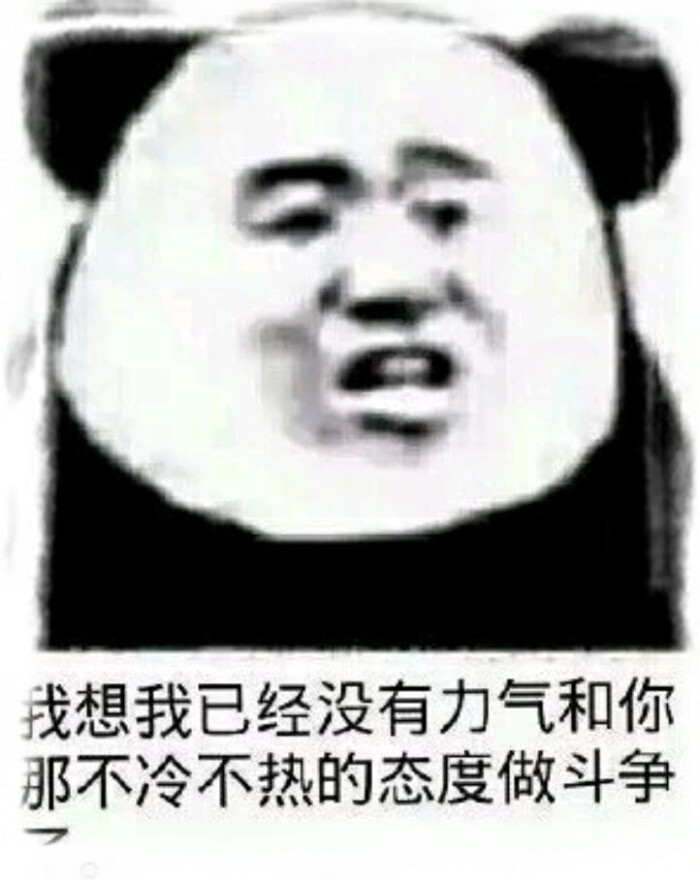 沙雕熊猫头
