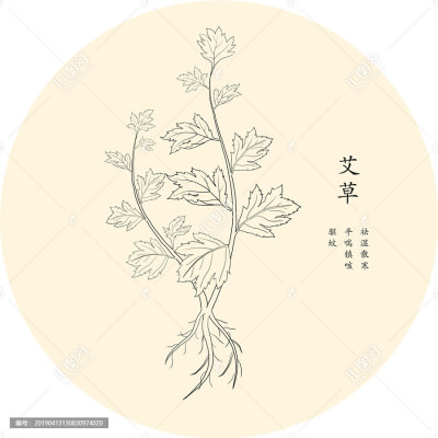 艾草画法简单图片