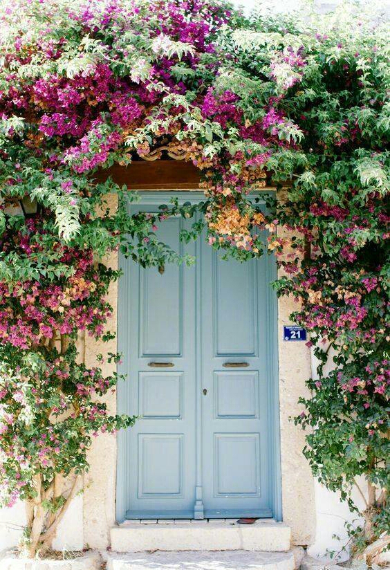 开满鲜花的门口