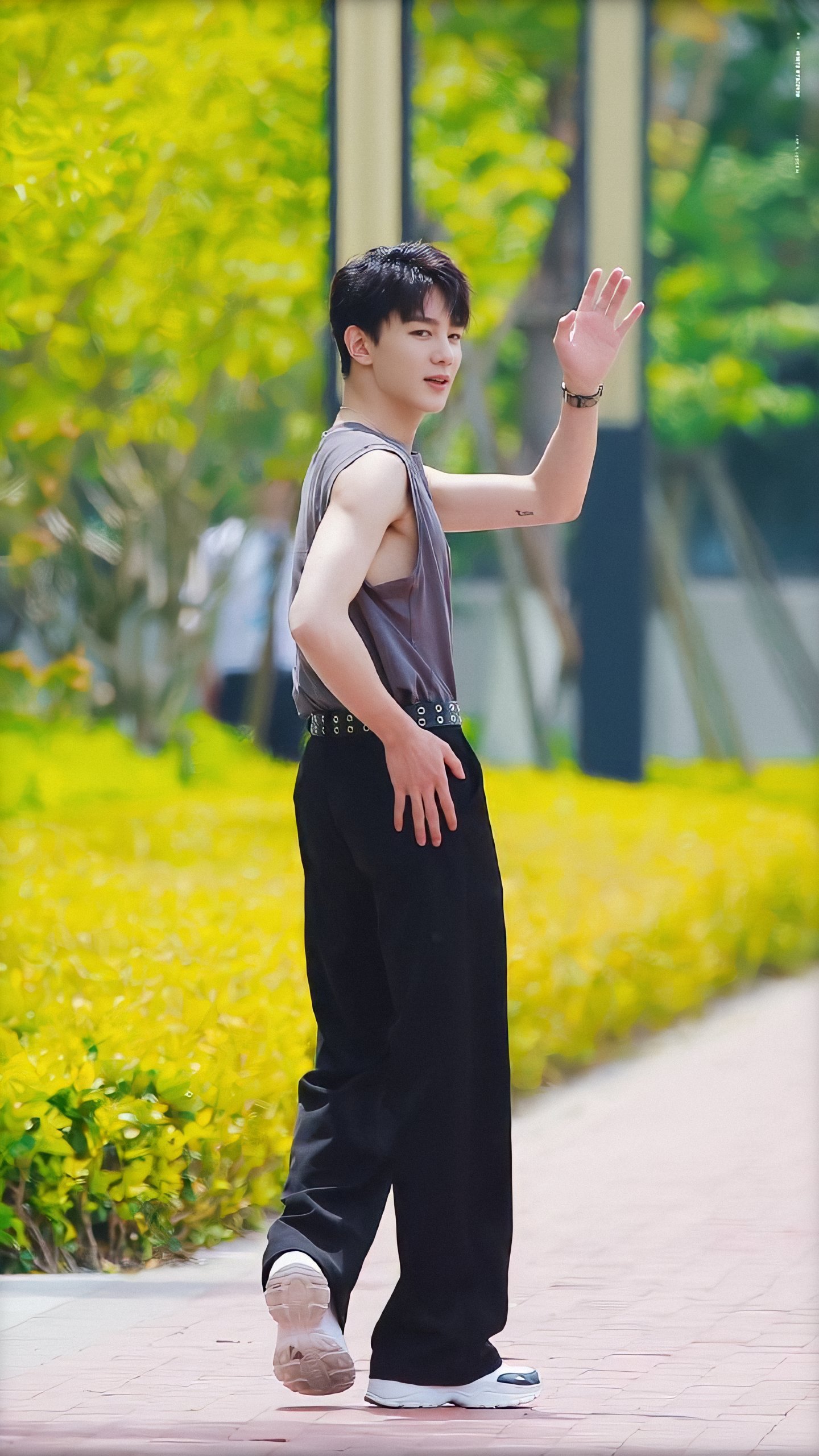 夏之光