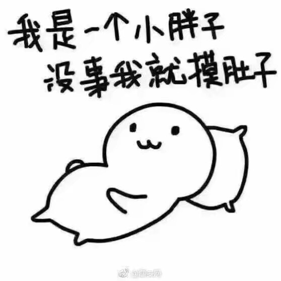 啃骨头的汪