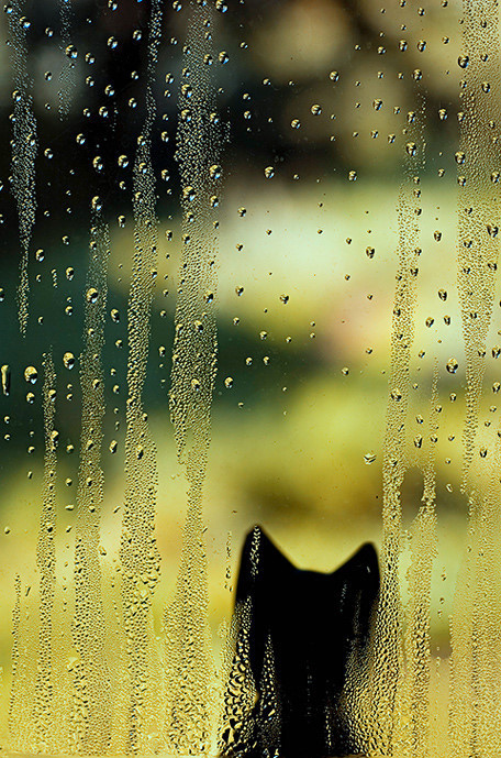 雨,下雨,雨景,淋雨