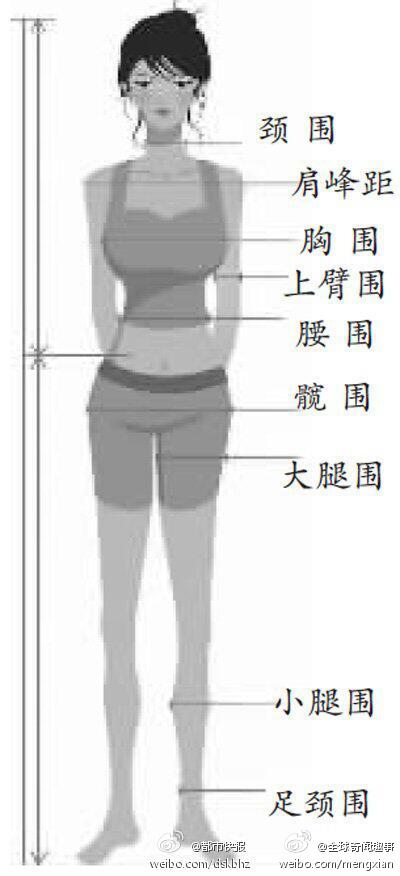 【性感女性标准:胸围是身高的一半】据英国《每日邮报》,这是专业美学