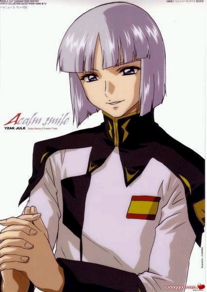 【高达seeddestiny】伊扎克图片欣赏.