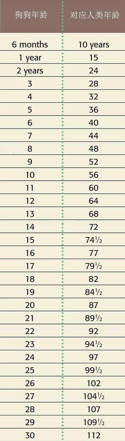 狗狗年龄与人类年龄换算表,你家狗狗几岁了?