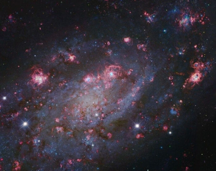 星系ngc 2403.