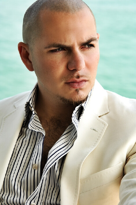 男神pitbull