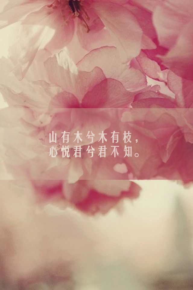 iphone壁纸#年少时让我不顾一切掏心掏肺认为会跟你在一起一辈子的
