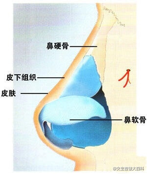 鼻渊和鼻鼽区别 堆糖网