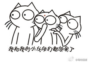 这才是我和我的小伙伴们都惊呆了!