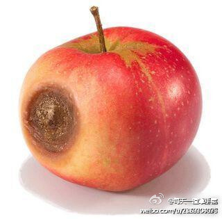 苹果烂一点就不能吃了哦】有人吃水果时,碰到水果烂了一部分,就把烂掉