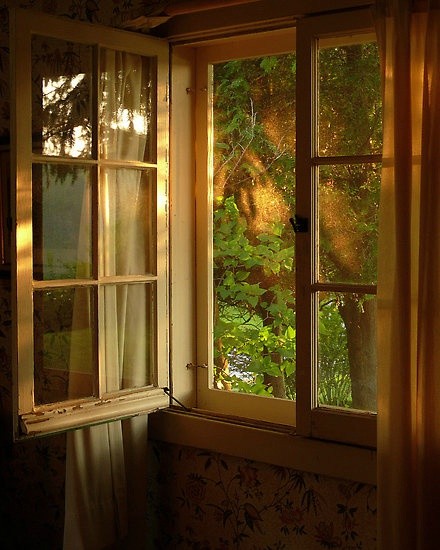 开一扇窗,听一段故事,静谧,安详.