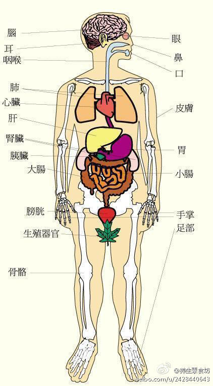 2,嗅觉越来越不灵了,这是肺功能衰弱的标志.