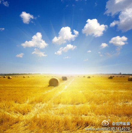 每天醒来,面朝阳光,努力向上,相信日子会变得单纯而美好.