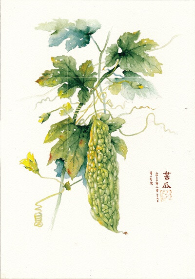 zhouxiaodou