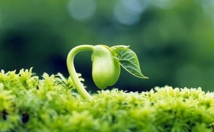 人生,总会有不期而遇的温暖,和生生不息的希望.