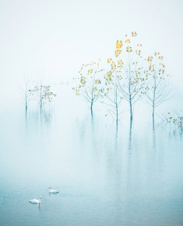 宛在水中央-堆糖,美好生活研究所