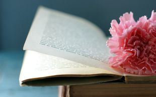 一朵花,一本书,生活就这样在生命中绽放
