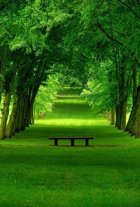 绿色——清新,希望.代表安全,平静,舒适之感.