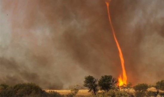 火焰龙卷风因森林大火形成,足以将树木连根摧毁.