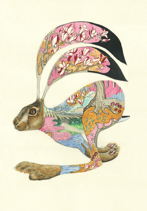 插画艺术家daniel mackie的作品,将地球上的自然风物与动物完美结合