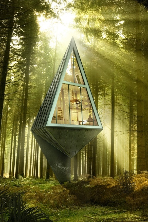 【建筑】坐落在森林中的现代生态友好家园,原始森林共生(单刀楼)