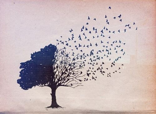 心是一棵树,大树,树,插画,插图