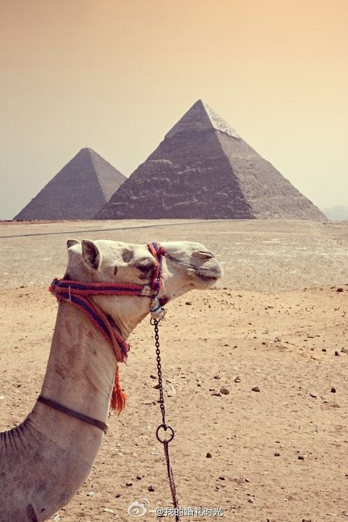 埃及蜜月旅游,金字塔、不朽的木乃伊、死亡…