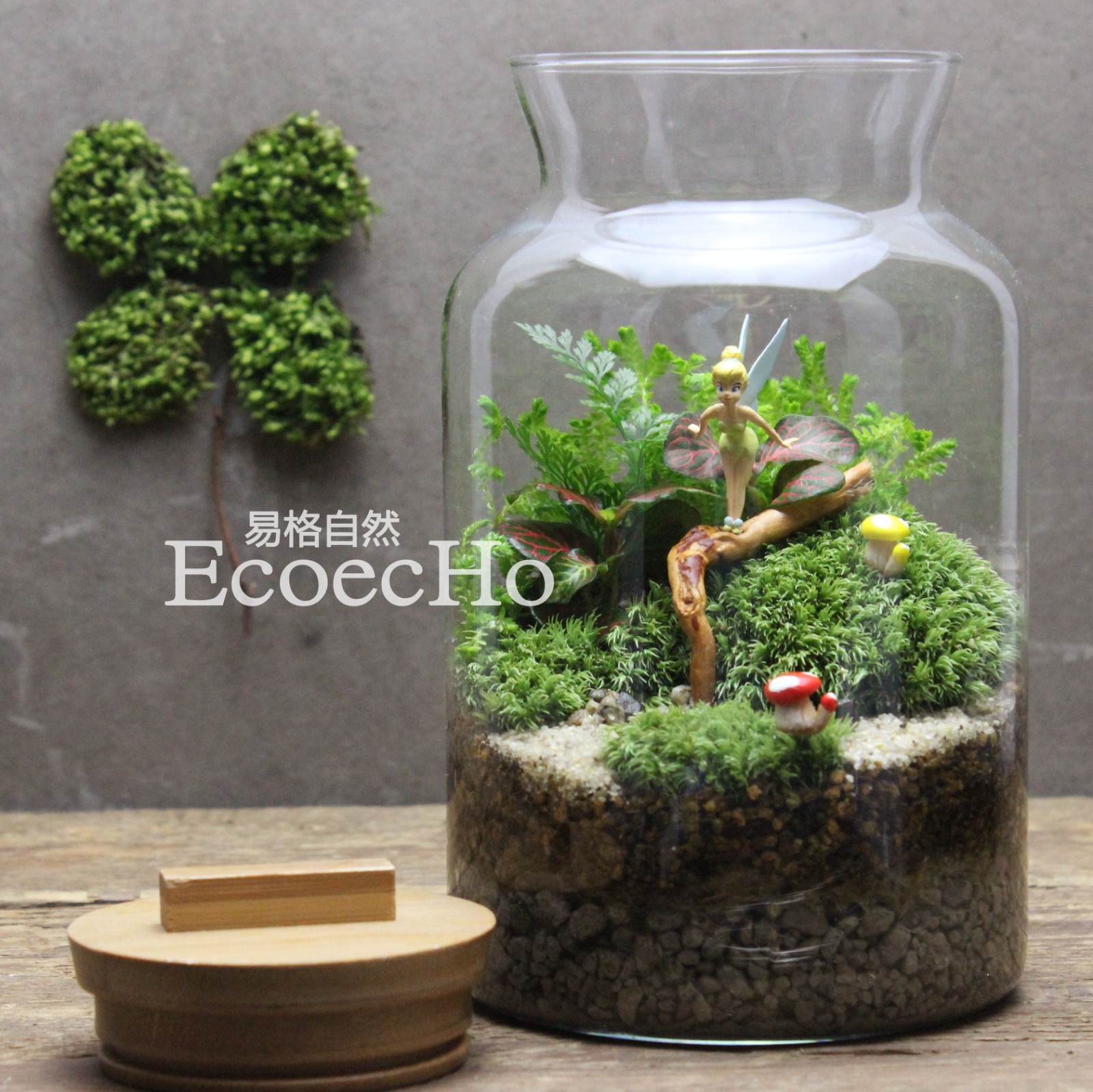 ecoecho 苔藓微景观 苔藓瓶生态瓶 创意绿植 动漫系列-小仙女