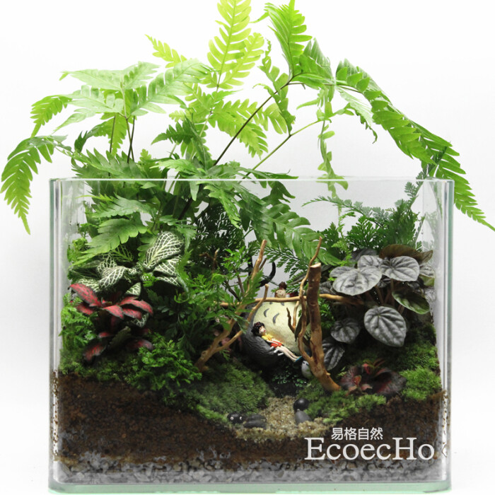 ecoecho 苔藓小品 苔藓微景观 宫崎骏龙猫系列-初见【预售】