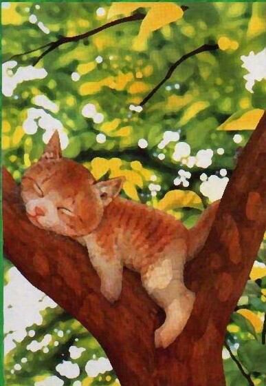 小黄猫玩着玩着,玩累了,就趴在树杈上睡着.